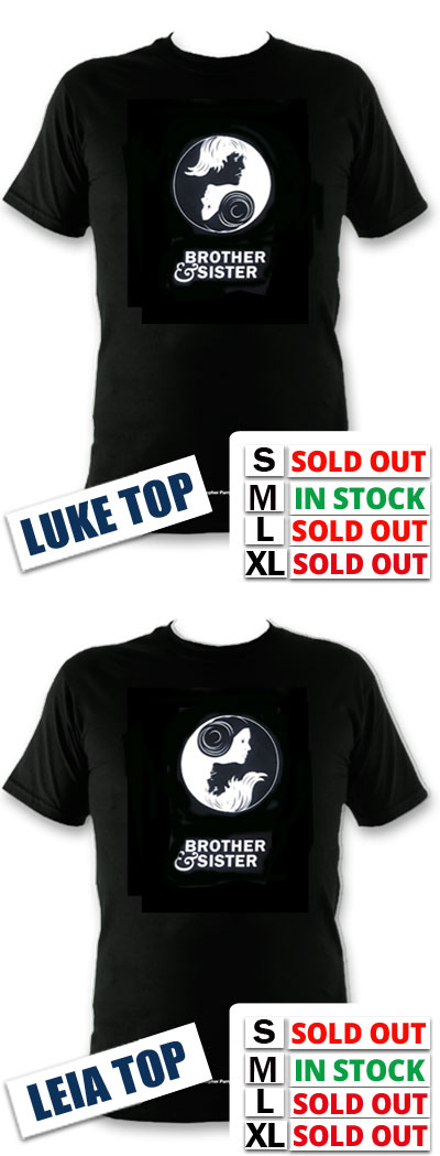 Return Of The Jedi Brother T Shirt